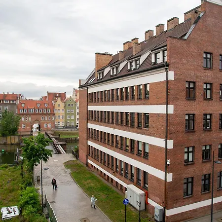 Maya's Flats & 55 - Grano Pszenn *